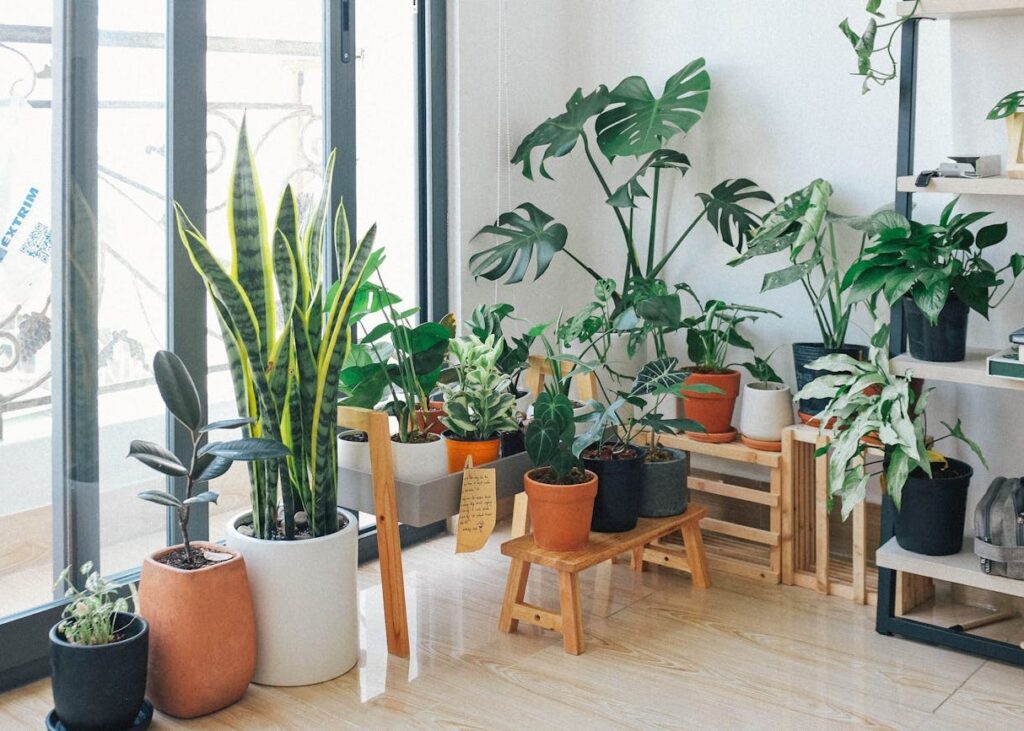 pexels-huy-phan-316220-3076899