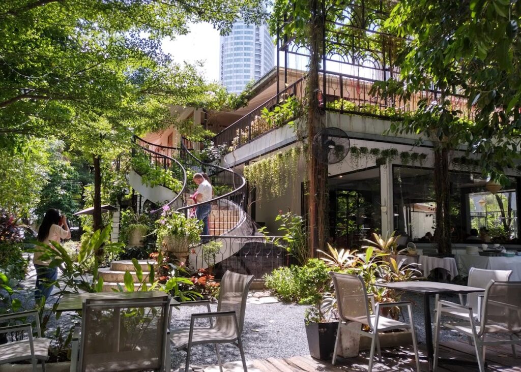 pexels-mathew-jackson-1102300-2094758