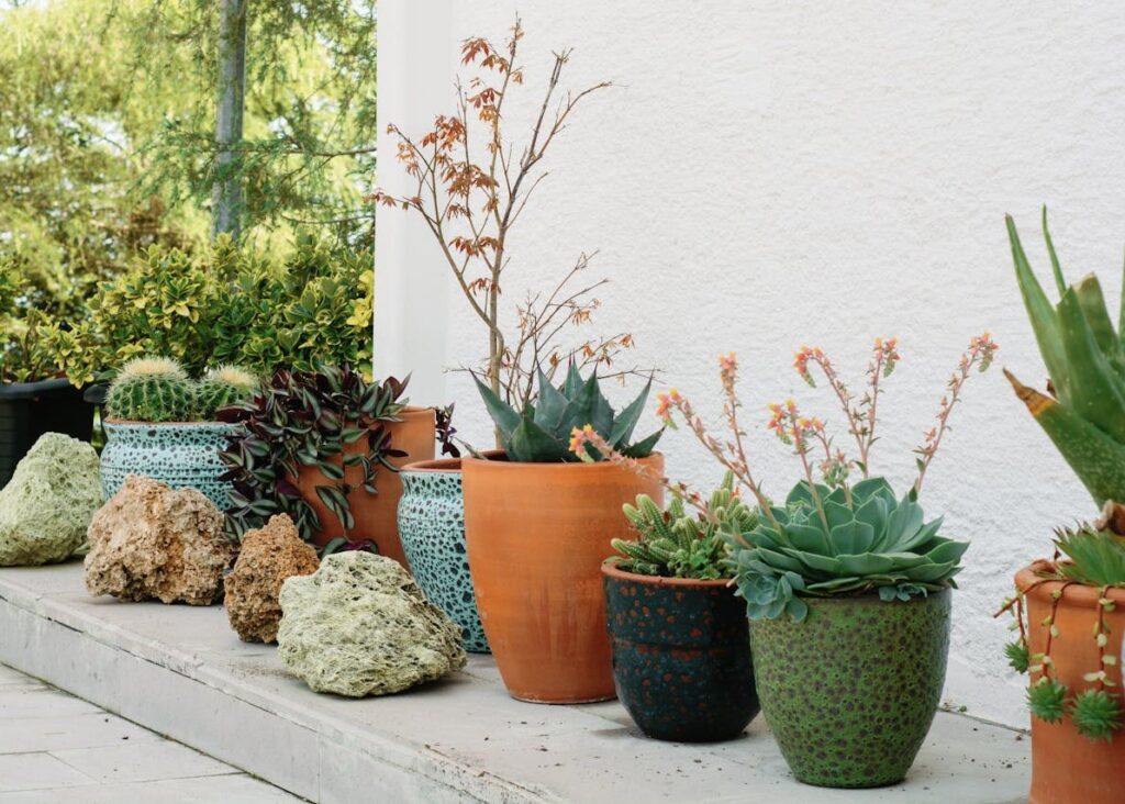 pexels-nadiye-odabasi-3668408-17758172